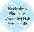 New Hampshire Electrolysis Association